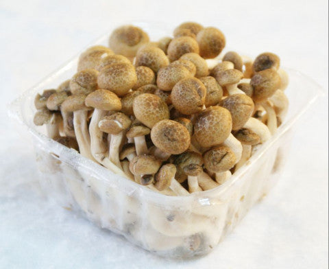 新鲜蟹味菇 150g shimeji brown
