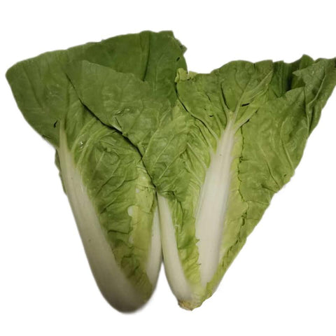 黄金菜 500g royal cabbage