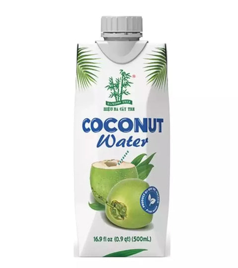 Zhushu Brand Coconut Water 500ml Coconut Water