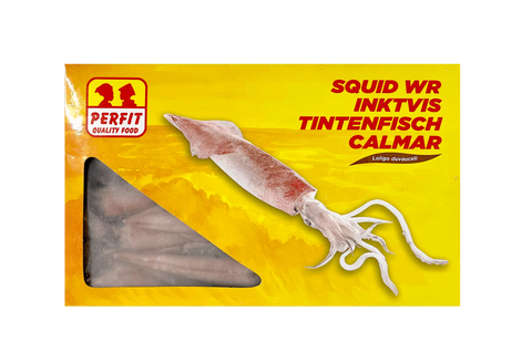 PERFIT Frozen whole squid 1kg Squid whole
