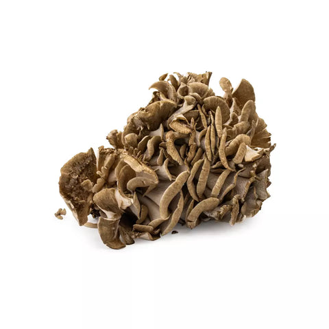 真空包装新鲜猴头菇 150g Maitake mushroom