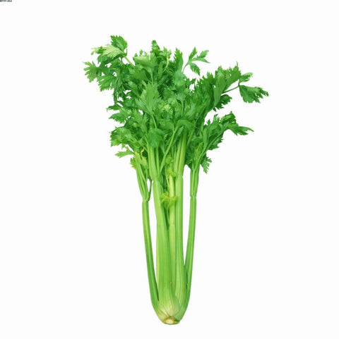 Chinese traditional leaf celery 500g