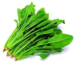 Spinach spinach 500g