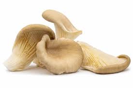 Ping Mushroom 500g Oyster Grey