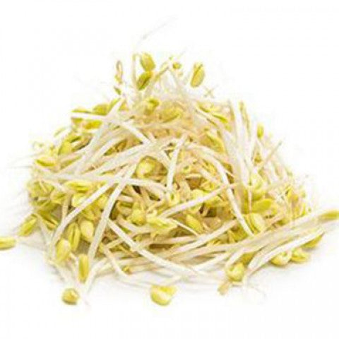 Soybean sprout 500g