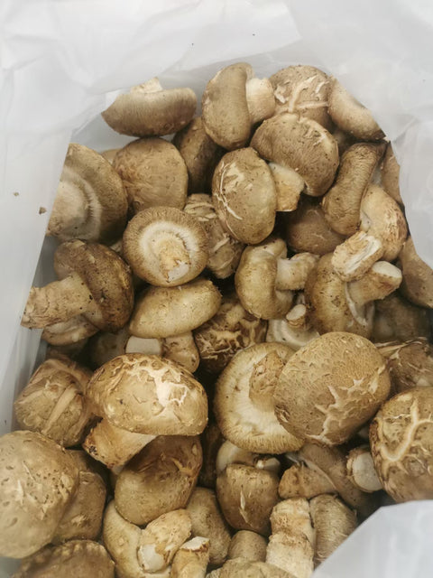 散装新鲜香菇 200g Shiitake