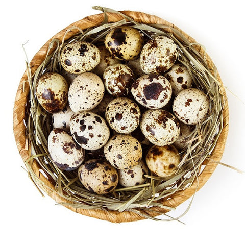 Fresh quail eggs per box 18 pieces